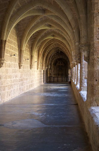 Galería noirte del claustro del monasterio de Piedra